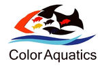 Color Aquatics 